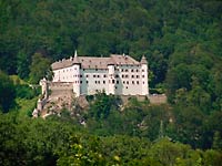 Waldlandschaft mit Burg